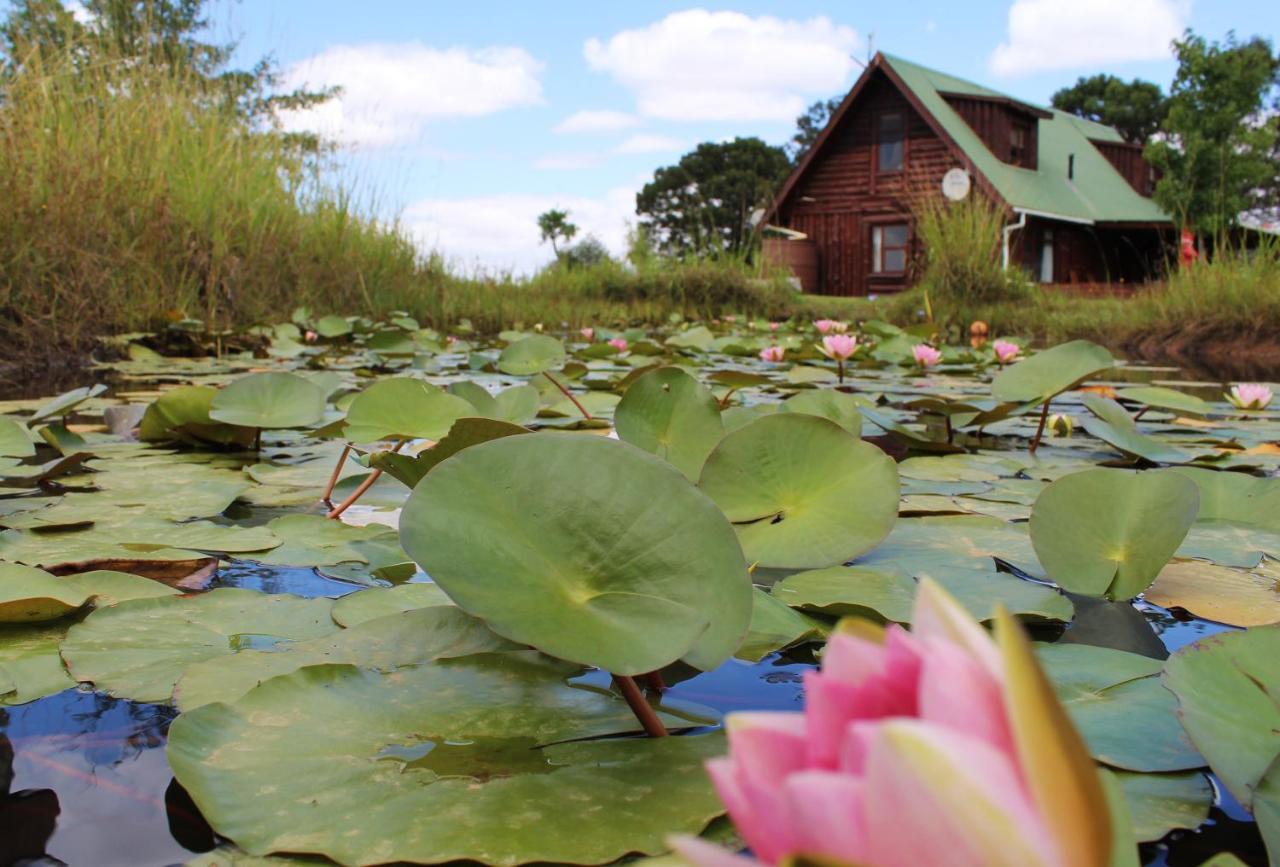 A Log Home At Buffalo Creek Buffeljagsrivier エクステリア 写真